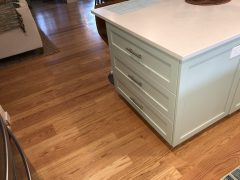 #11 Picture Gallery 4